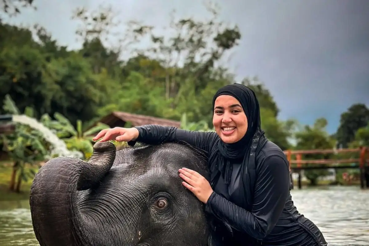Half-Day Phuket Elephant Care Sanctuary Tour Experience with Gentle Giants